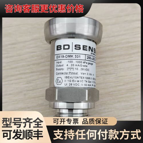 议价德国 BD压力传感器Dx19－DMK331可维修