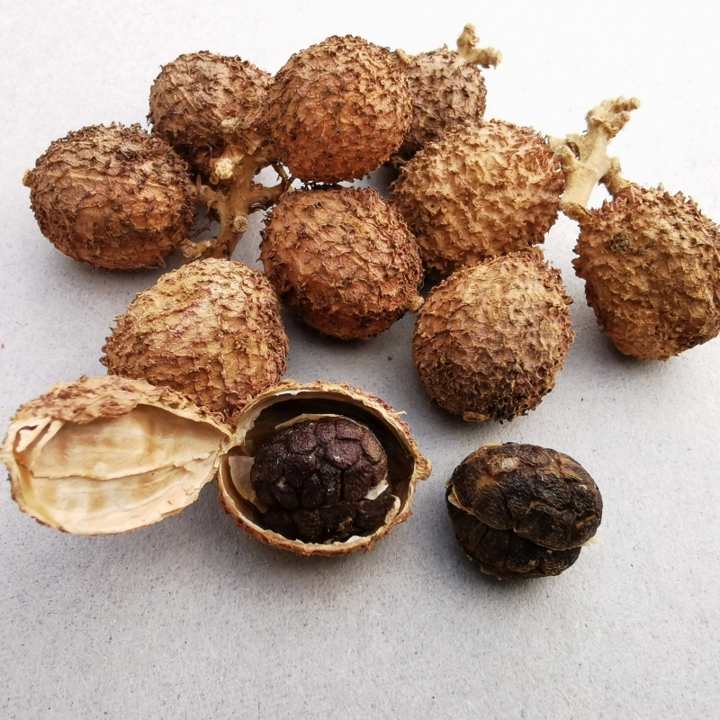 晒干春砂仁干果阳春特产农家