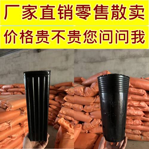 脐橙育苗杯柑橘杯细长形加厚加高黑色一次性营养钵营养杯沃甘提根