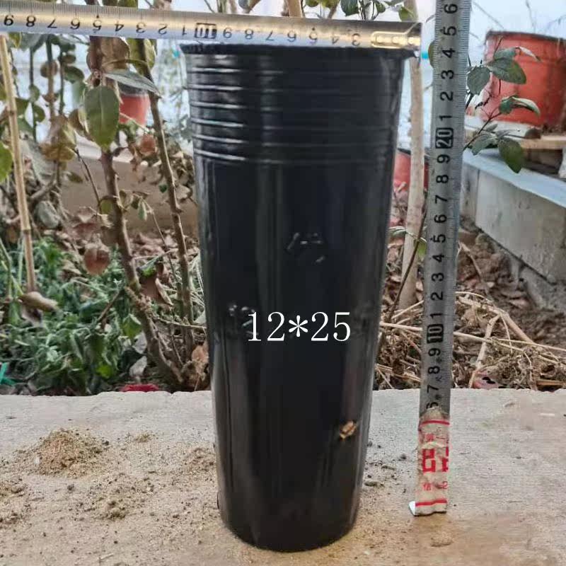 脐橙育苗杯营养钵杯细长方口加厚加高黑色一次性育苗杯柑橘育苗袋