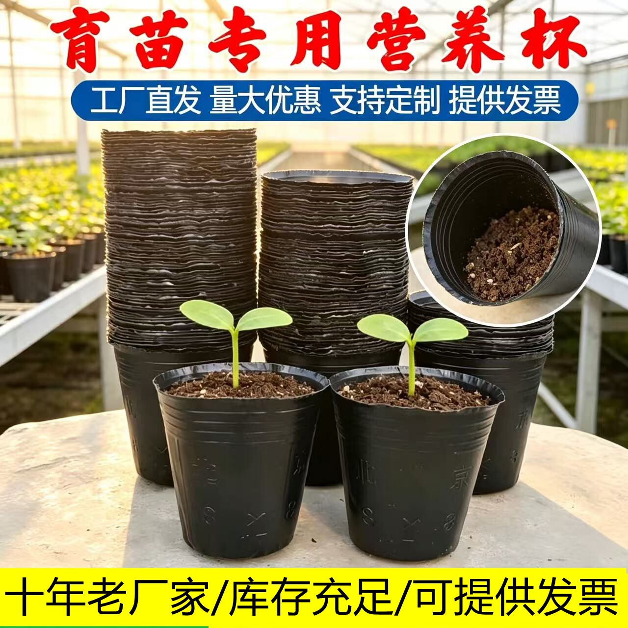营养杯育苗杯黑色塑料大号营养钵加厚育苗袋种植袋魔芋生姜种植桶