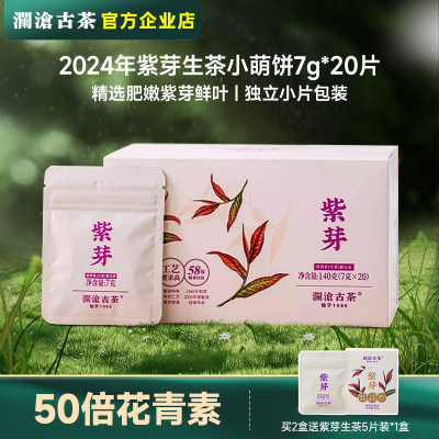 【新品】2024年澜沧古茶紫芽生茶小萌饼普洱茶生普盒装小茶饼茶叶