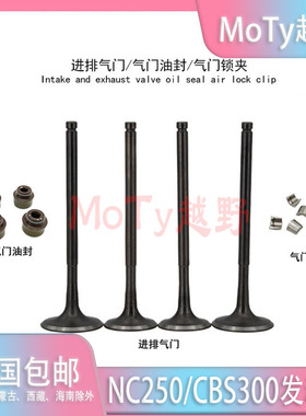 波速尔 极盗者 战狼越野车NC250 CBS300发动机进排气门 油封 锁夹
