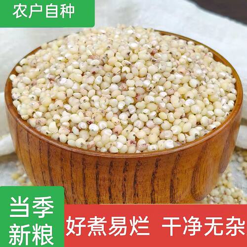 东北农家自种粘糯高粱米粽子酒
