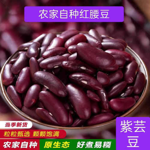 云南红腰豆新货农家自种大红豆红芸豆饭豆豆馅打豆浆豆类杂粮
