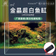 订制烟火超白缸定制定做订做水草缸海水缸桌面客厅造景缸水族中型