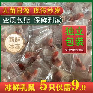 【包新鲜】冰冻乳鼠冷冻小白鼠幼鼠红皮开口独立包装角蛙爬宠喂猫