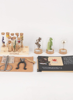 样板间书桌绿色植物干花标本摆件