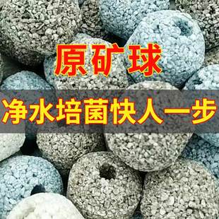 优质原矿球鱼缸过滤材料矿物球细菌屋奈米球净水培菌陶瓷环滤材球