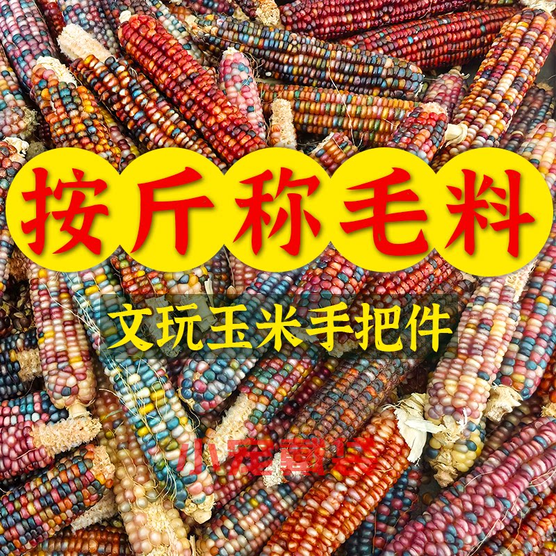 文玩玉米按斤卖天然彩色可盘玩图片