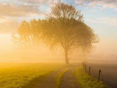 1分钱套餐图片一分钱自动发货运营0.01元秒发秒评壁纸0.1商品右|ruв категории сетевой магазин денежный/купон, сетевой магазин ваучеров - от Buy2taobao.com для оказания профессиональной услуги покупки агента Taobao