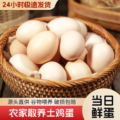 农家散养土鸡蛋新鲜笨鸡蛋现捡