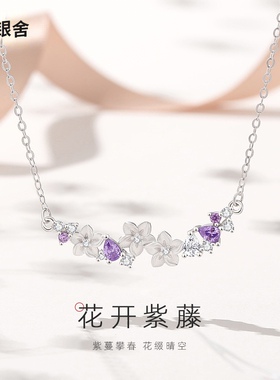 紫藤花项链女S925纯银轻奢设计感锁骨链花朵吊坠颈链高级百搭文艺