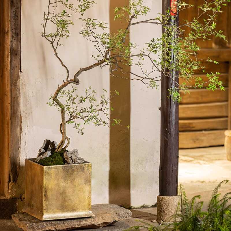 复古新中式方形椿台花盆假绿植