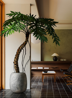 仿真绿植龙鳞春羽龟背植物