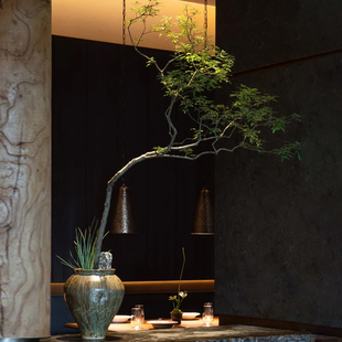 仿真绿植定制黄荆树盆景室内客厅高级感软装搭配美陈落地盆栽摆件