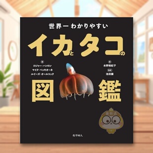 日文艺术图鉴日版 世界乌贼与章鱼图鉴 进口原版 图书外版 図鑑 书籍世界一わかりやすいイカとタコ 预售