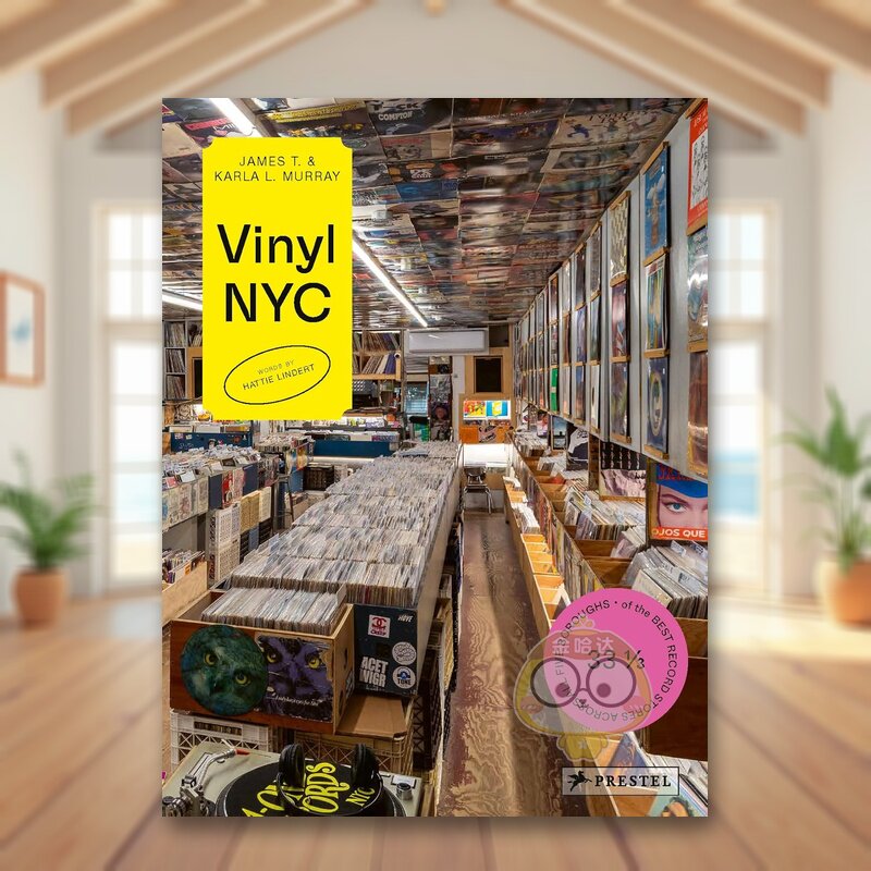 【预售】纽约黑胶地图:五城区33?家传奇唱片行 VINYL NYC 原版英文音乐