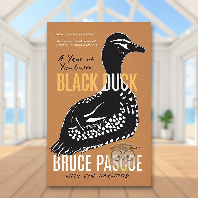 黑鸭 Black Duck 原