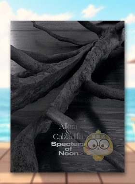 【预售】阿罗拉 & 卡尔萨迪拉 正午幽灵 Allora & Calzadilla Specters of Noon 原版英文艺术画册画集进口书籍图书外版正版