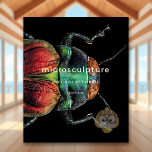 【预售】微型雕塑:昆虫肖像 Microsculpture: Portraits of Insects 原版英文社会科学进口书籍图书外版正版