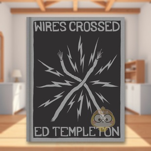 【预售】艾德·坦普尔顿 光影交织英文摄影摄影师专辑进口原版外版书精装14岁以上Ed Templeton: Wires Crossed Ed Templeton Ap书