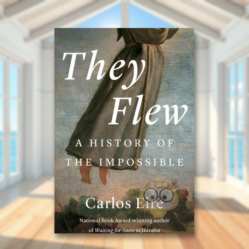 他们飞了起来：不可能的历史 T