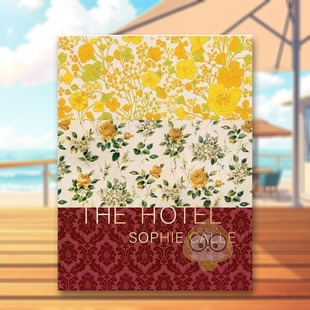 Sophie Calle 英文艺术画册画集进口书籍图书外版 预售 正版 原版 苏菲·卡尔：酒店 Hotel The