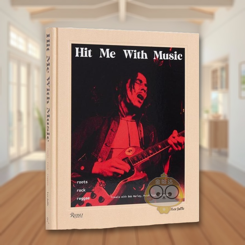 用音乐打动我：摇滚雷鬼音乐 H