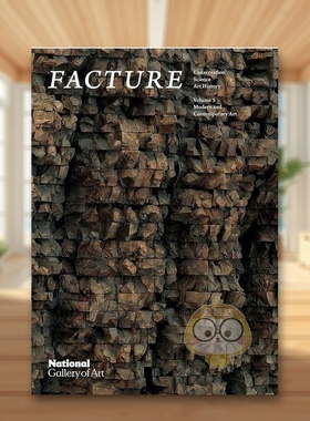 【预售】制作：保护、科学、艺术史：第 5 卷：现当代艺术英文艺术总论历史理论评论进口原版外版书简装Facture: Conservation S书