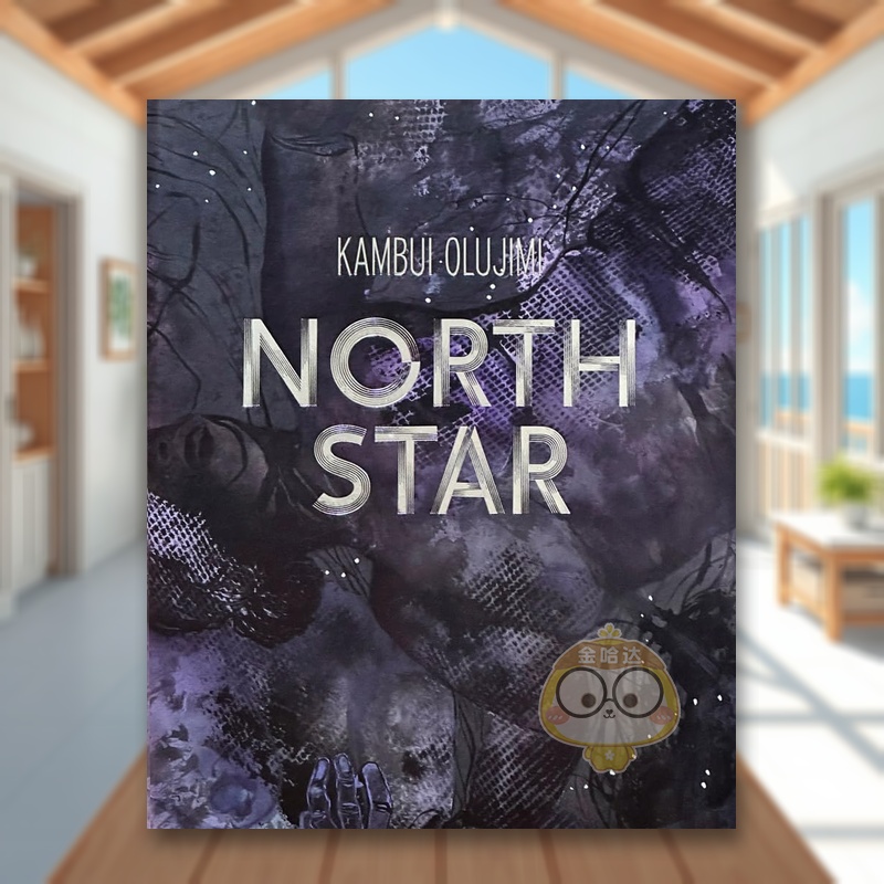 【预售】坎布伊·奥卢吉米：北极星 Kambui Olujimi: North Star 原版英文艺术画册画集