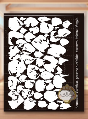 【预售】罗伯托·奥布雷贡：积累、分类、保存、展示—卡罗莱纳与费尔南多·埃塞韦里收藏档案 Roberto Obregón: Accumula原版进