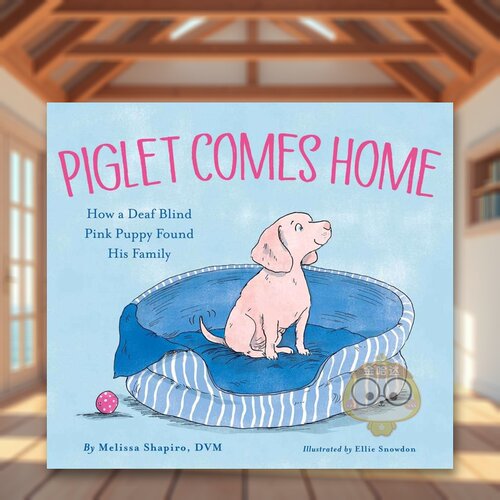 小猪回家了 Piglet Co