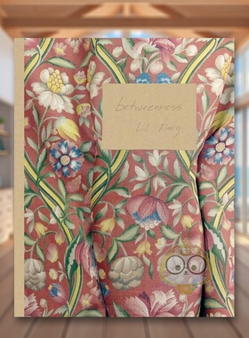 【预售】之间英文摄影摄影师专辑进口原版外版书精装Lili Almog: Betweenness Lili Almog Kehrer Verlag书籍图书正版