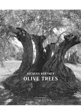 【预售】橄榄树：雅克?贝特摄影集 Olive Trees : Jacques Berthet 原版英文摄影作品集自然景观进口书籍图书外版正版