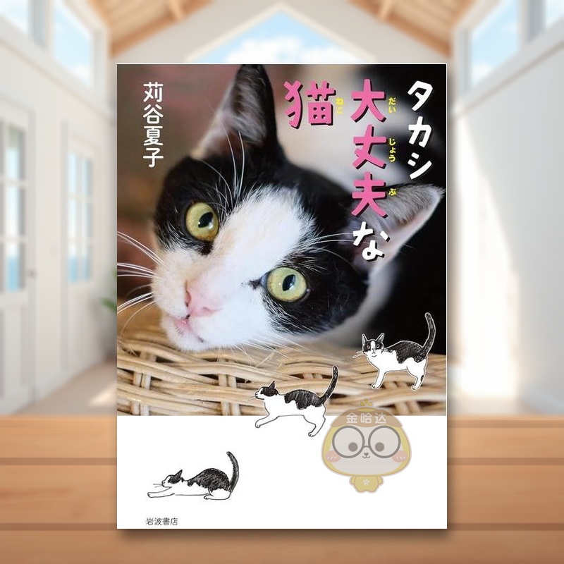 TAKASHI 坚强猫猫 タカ