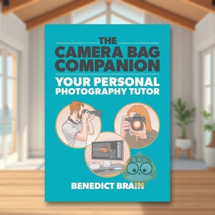 Camera Bag 进口原版 预售 书781579299书籍图 Press平装 相机包伴侣摄影图解指南The BrainIlex Companion英文摄影技法Benedict