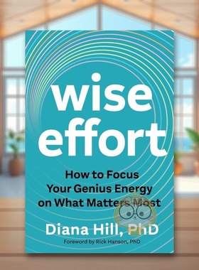 【预售】明智努力：如何将天赋能量聚焦于重要的事 Wise Effort 原版英文心灵励志进口书籍图书外版正版