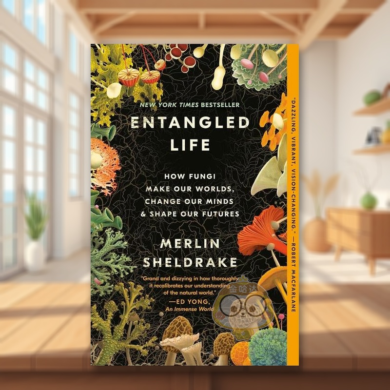 探寻真菌：真菌如何创造我们的世