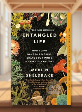 【预售】探寻真菌真菌如何创造我们的世界改变我们的思想和塑造我们的未来Entangled Life How Fungi Make Our Worlds Change Ou原