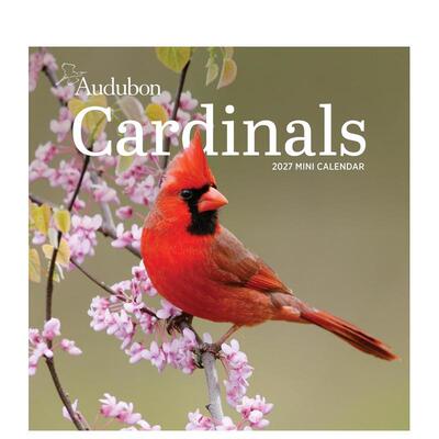 【预售】奥杜邦北美红雀图集 2027年迷你挂历 Audubon Cardinals Mini Wall Calendar 2027 英文进口原版日历文创周边National Au