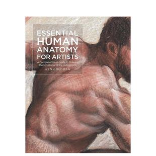 【预售】给艺术家的基础人体解剖学 【For Artists】Essential Human Anatomy for Artists 英文艺术技法与入门赏析原版图书外版