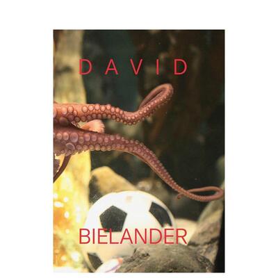 【预售】大卫?比兰德：二十年创作集（1996-2016） David Bielander : Twenty Years. 2016-1996 原版英文艺术画册画集进口书籍图