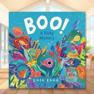 Kate进口原版 Hoots49534书籍图书外 神秘故事Boo Mystery英文儿童绘本虚构类3 6岁精装 Fishy 嘭一个关于鱼 书Two Read 预售