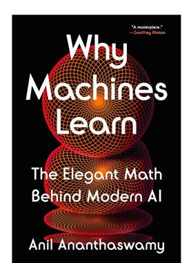 【现货】为何机器能学习：现代人工智能背后的精妙数学 Why Machines Learn 原版英文社会科学