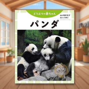 日文艺术摄影集日版 进口原版 图书外版 どうぶつ 小熊猫宝宝写真集 书籍パンダ 赤ちゃん 现货