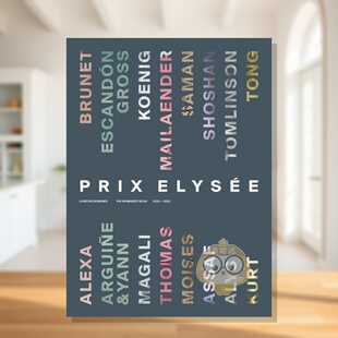 2020 法文双语对照 预售 提名作品集 Book 英文摄影作进 Nominees 2022 爱丽舍奖 Elysée Prix 英文 原版 The
