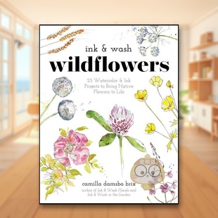 【预售】水墨野花 Ink & Wash Wildflowers 原版英文艺术画册画集进口书籍图书外版正版