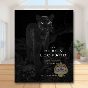 Black Lucas书籍图书正版 黑豹英文摄影自然景观精装 Burrard Will Leopard 书The 外版 进口原版 现货