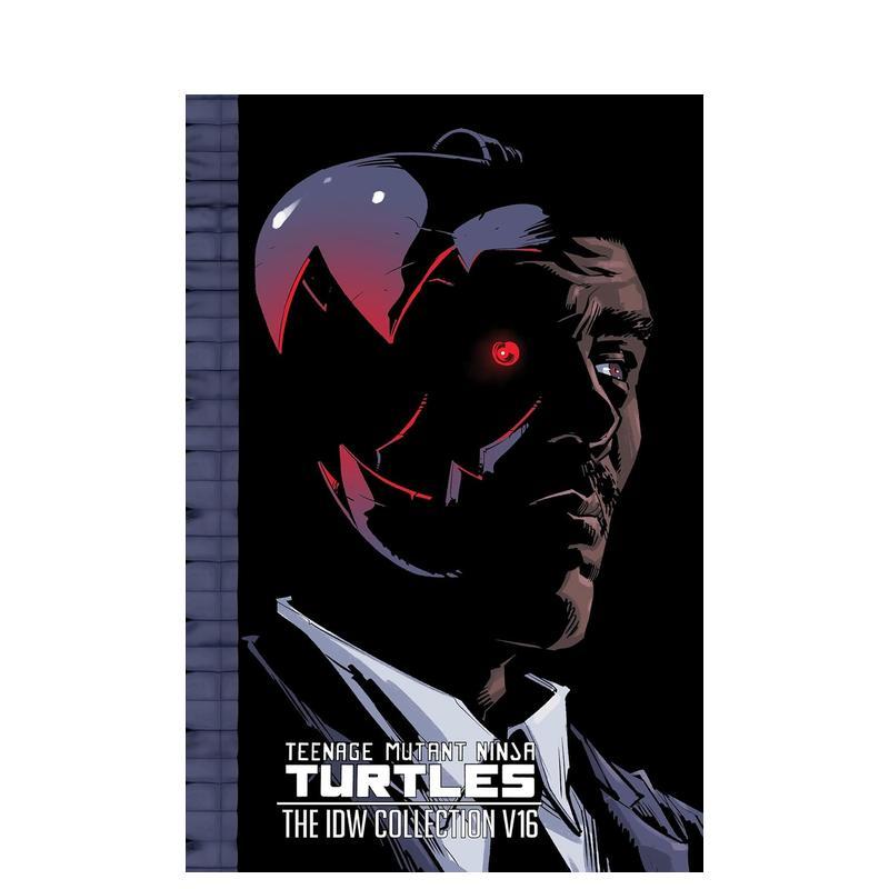 忍者神龟：IDW收藏集 卷16